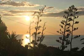 Muriwai House | The Blue Batch with views over Muriwai