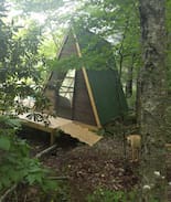 Todd Cabin | Camp Bigfun: Tiny Waterfront Cabin (A- Frame)