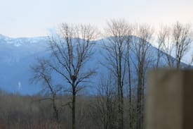 Harrison Mills Other | Eagle Nest View cabin