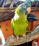 Loreto Hotel | Iguana Inn Loreto - Casita #4 - Heart of Loreto