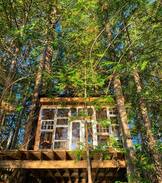 Sunshine Coast Other | Out There Off Grid Private Island - Tree House
