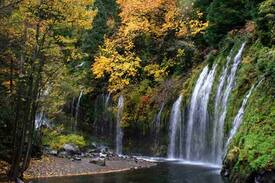 Dunsmuir Apartment | The Butterfly’s Rest, close to Waterfalls