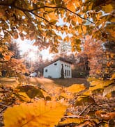 Putney House | Honeycrisp Cottage - A Tiny Timber Frame