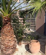 Polis Apartment | Polis Chrysochous. Akamantis Gardens