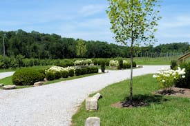 McMinnville Other | The Getaway at the Collins River Tree Farm