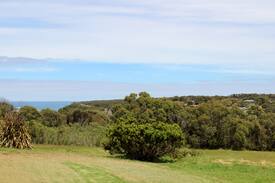Port Campbell House | The Cabin- Ocean and Tree Top Views