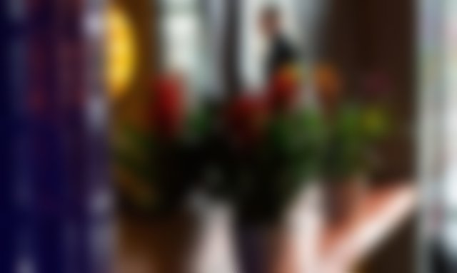 Parada de Bouro Villa | Casa Soral - Quinta do Sorrilhal