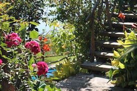 Arco da Calheta Villa | Calhau Grande - Rural Cottages