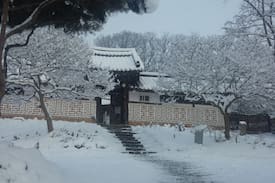 Jeongeup Other | 다유락