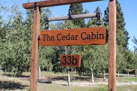 Twizel Cabin | The Cedar Cabin - Twizel (Free WiFi)