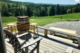 Greensboro Cabin | "The Stuga" a quaint cottage with sweeping views