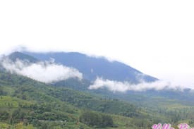 Ciloto Villa | Villa Pink at Tugu Utara, Puncak, Bogor (5BR)