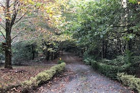 Springbrook Cabin | DUCKS CROSS COTTAGE - A UNIQUE RETREAT