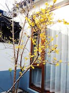 Wuzhong Villa | 苏州东山-亲子度假-巢园-紫竹院独栋独院豪华套房