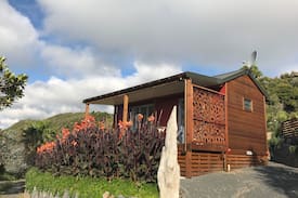 New Lynn House | Piha Tiny House -