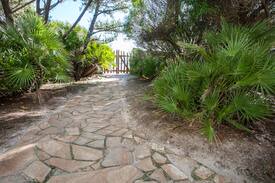Cala Liberotto Apartment | Villa Cornelio, sulla spiaggia a un passo dal mare
