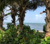 Zarzal House | Villa Pilar-privacy on the forest and the beach!