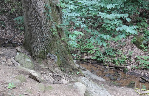 Gatlinburg - Pigeon Forge RV Rental | Tentrr Signature Site - HAPPY HOLLOW HIDEAWAYS HALFWAY THERE