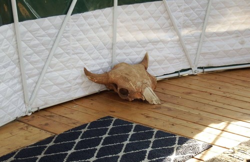 Clearwater County Cabin | Comfort camping at it's finest!