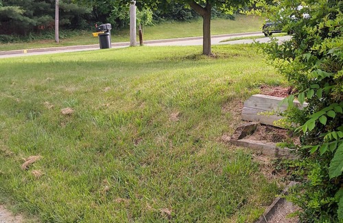 Westminster House | Cozy place not too far from town and local stores