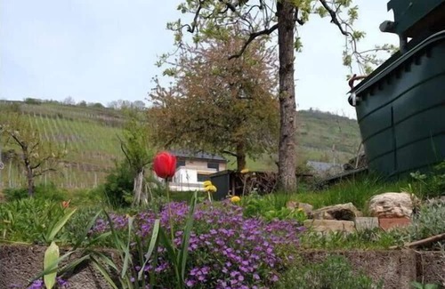 Pommern House | Casa Alfredo Comfortable holiday residence