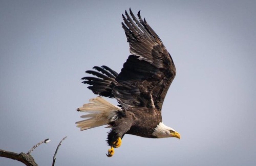 Northville Cabin | Sacandaga Serenity: Your Ultimate Cozy Cabin Getaway Awaits! 550 ft Lake Front!