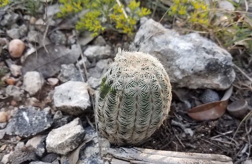 Moody RV Rental | Primitive Camping for Eclipse in Path of Totality