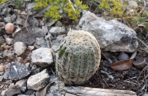 Moody RV Rental | Primitive Camping for Eclipse in Path of Totality