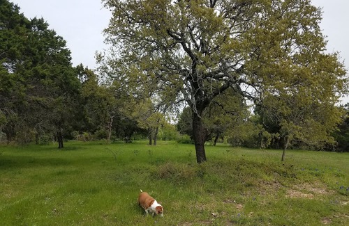 Moody RV Rental | Primitive Camping for Eclipse in Path of Totality