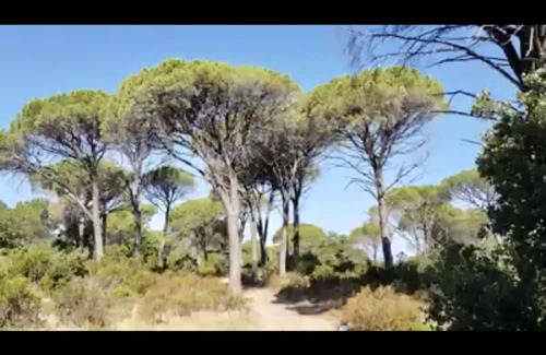 Vidauban House | Entre Terre et mer Gite de Groupe à Partir de 1 Nuit