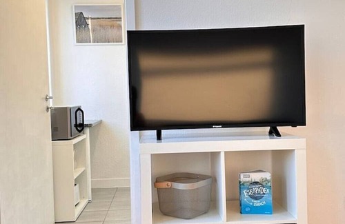 Hoengg Apartment | Gemütliches Apartment mit Einem Schlafzimmer in Zürich Höngg