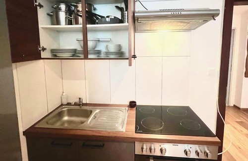 Baden Apartment | Holiday Apartment "Stilvolles Studio" with Mountain View & Wi-Fi