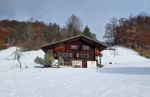 Schwanden bei Brienz Apartment | John's Studio