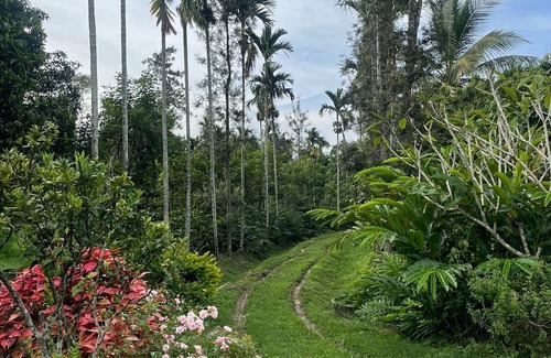 Virajpet Cottage | The Grand Oak By TERASTAY