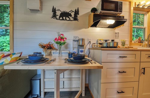 Newport Cabin | The Leconte Tiny Home Overlooking the Pigeon River