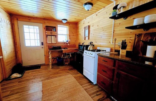 Town of Amboy Cabin | Spring Is In The Air | Cozy off-grid cabin
