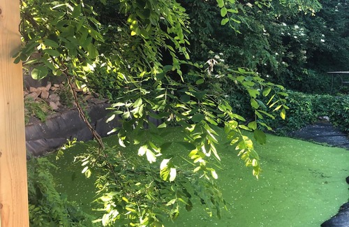 Giarmata Villa | Pink Garden Events Advance Notice Required