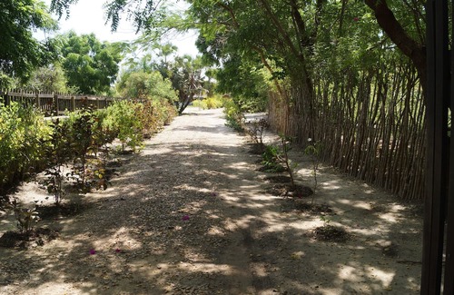 Menabe Bed & Breakfast | To rent superb T1, in a quiet environment, close to the sea