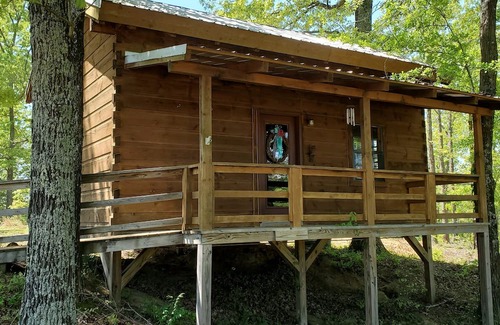 Winona Cabin | Charming 1-bedroom cabin in Winona. Close 50 minutes to Starkville for games.