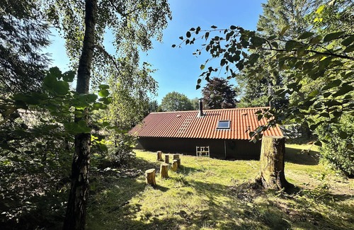 Ansager Cabin | Unique forest cabin by the lake | Near Legoland & Lalandia