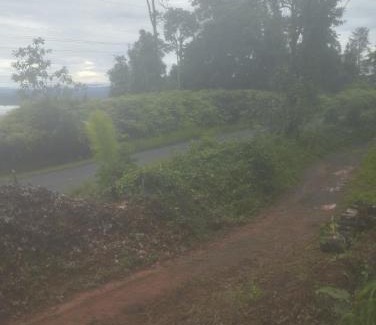 Rincon Other | Vista al mar lodge