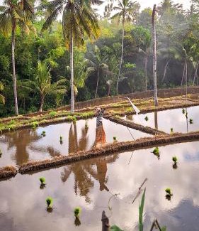 Lombok Other | Lembah Datu Campsite