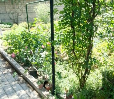 Tashkent Apartment | Private House