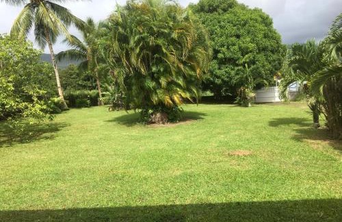Lamentin House | Dans un coin de verdure