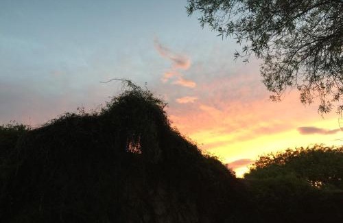 Tucson House | Desert retreat close to downtown/ U of A, 1-10