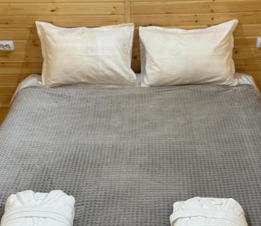 Karakol Bed & Breakfast | Bosogo