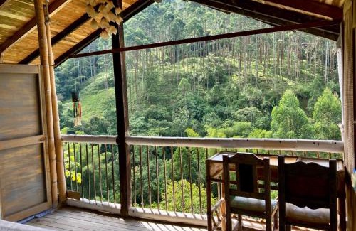 Jardin House | Casa, Sol y Montaña