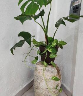 Uman Apartment | Casa Rouge