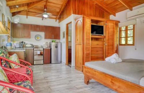 Ojochal Apartment | Colibri Casitas