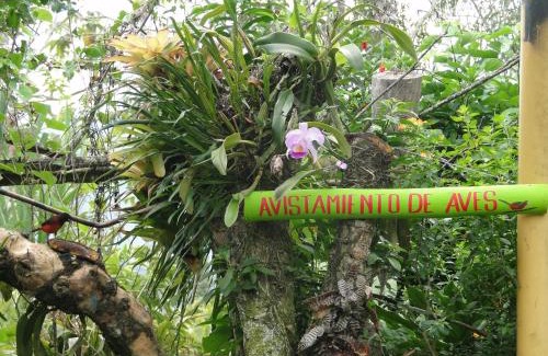 Paicol House | Finca Ecoturística Tierra Blanca